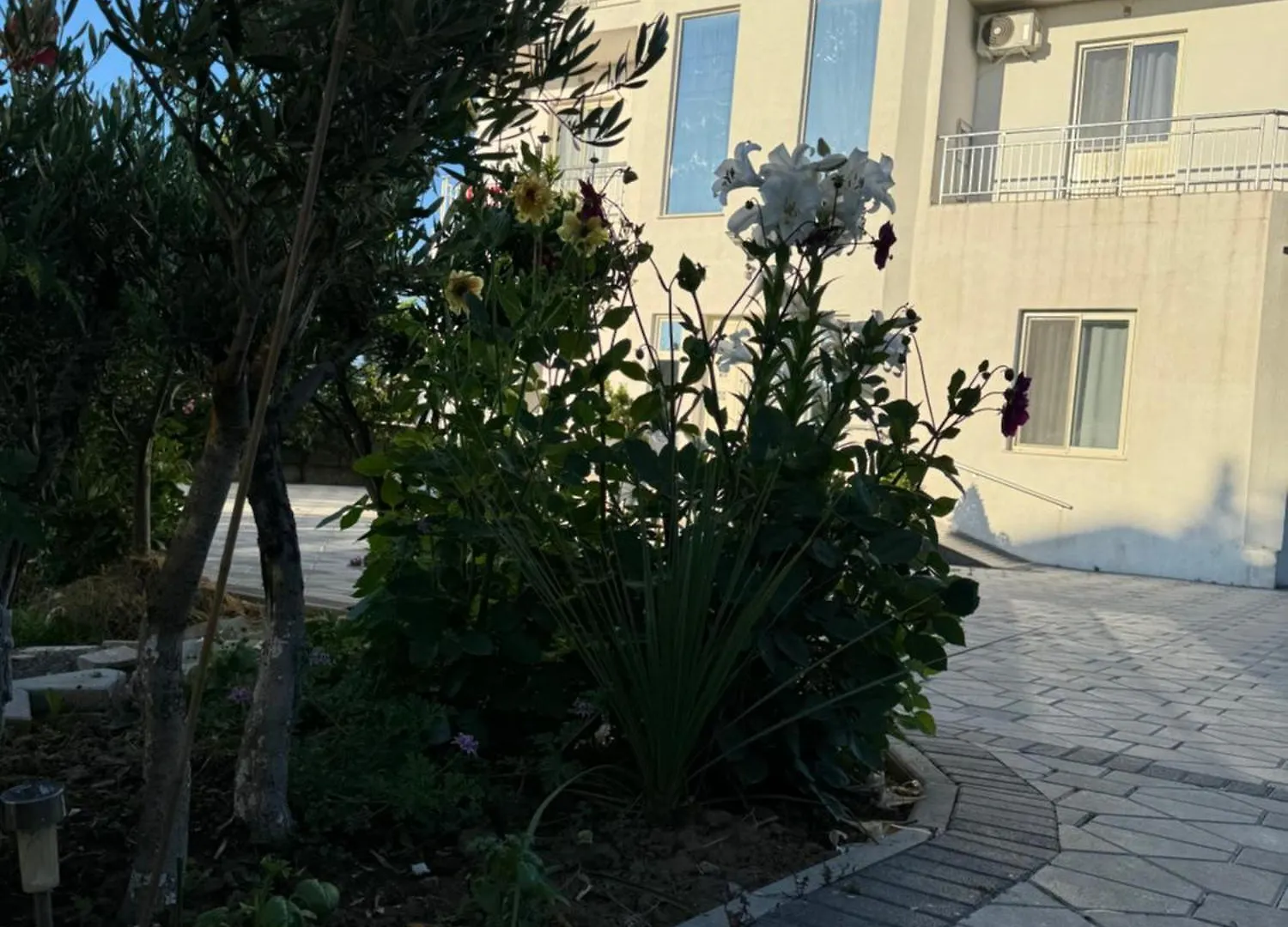 Kunevain Guest House Lezhë